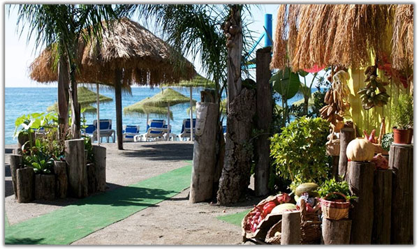 chiringuito guayaba beach marbella costa del sol bicitur